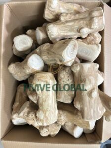 Why Do Dogs Chew on Wood? Here’s What You Can Do